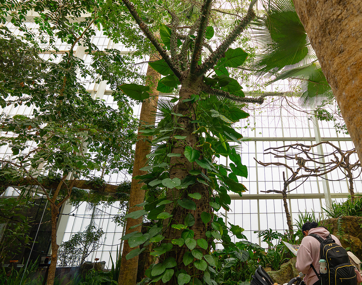 Dallas World Aquarium