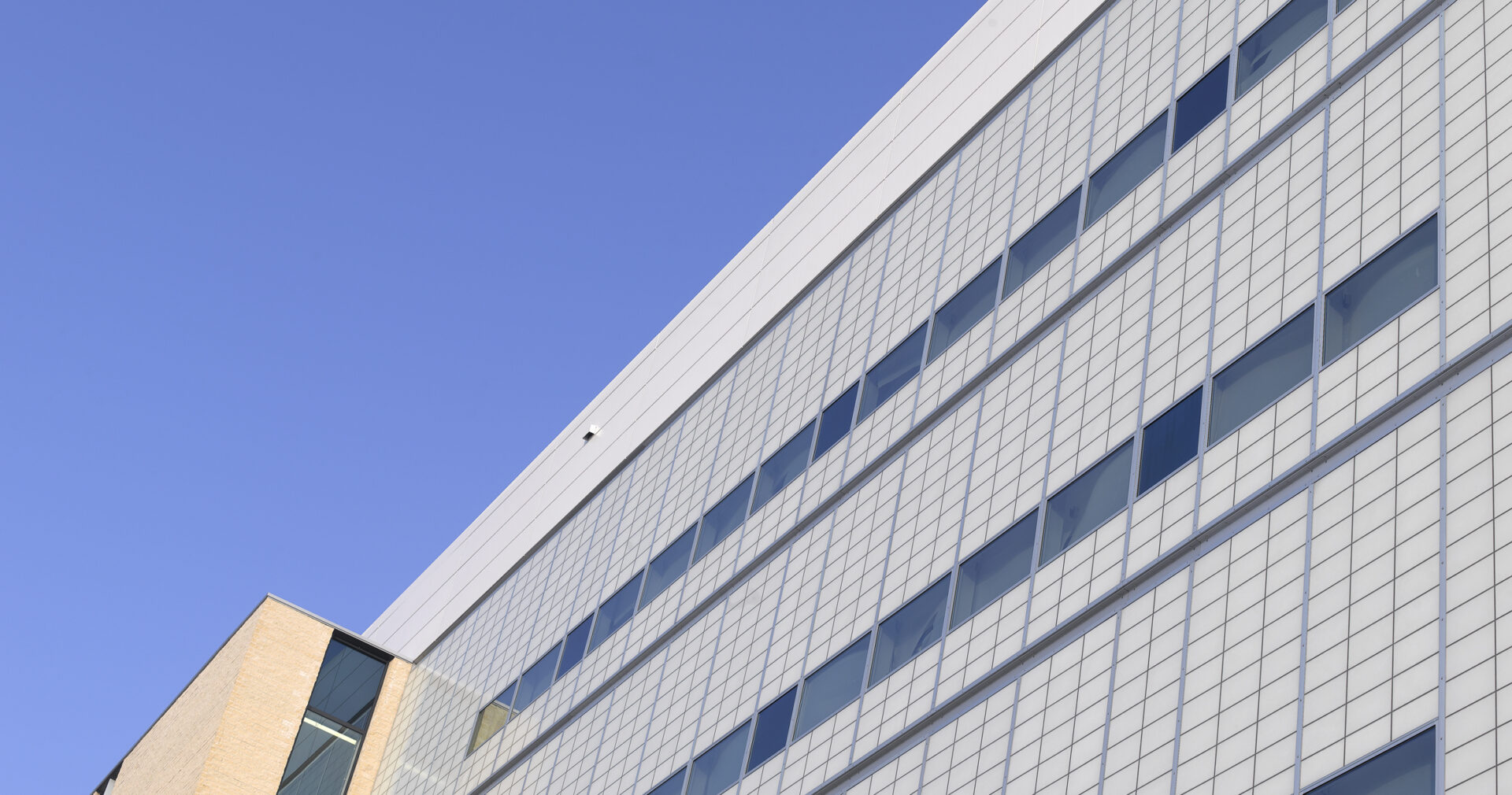 Janssen Pharmaceuticals