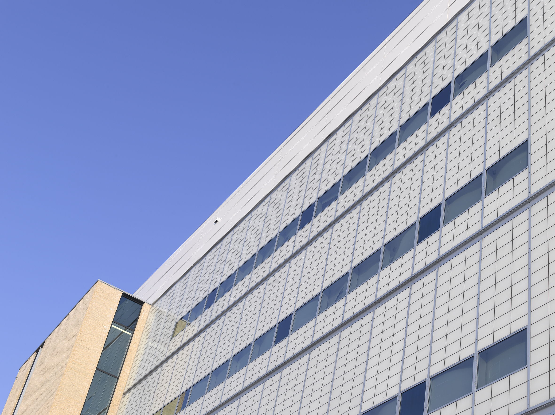 Janssen Pharmaceuticals