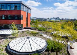 Greenhouse Office Building rooftop featuring Kalwall removable skylights in geometric pattern with plants and brick building.