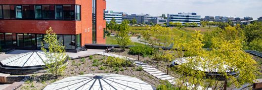 Greenhouse Office Building rooftop featuring Kalwall removable skylights in geometric pattern with plants and brick building.