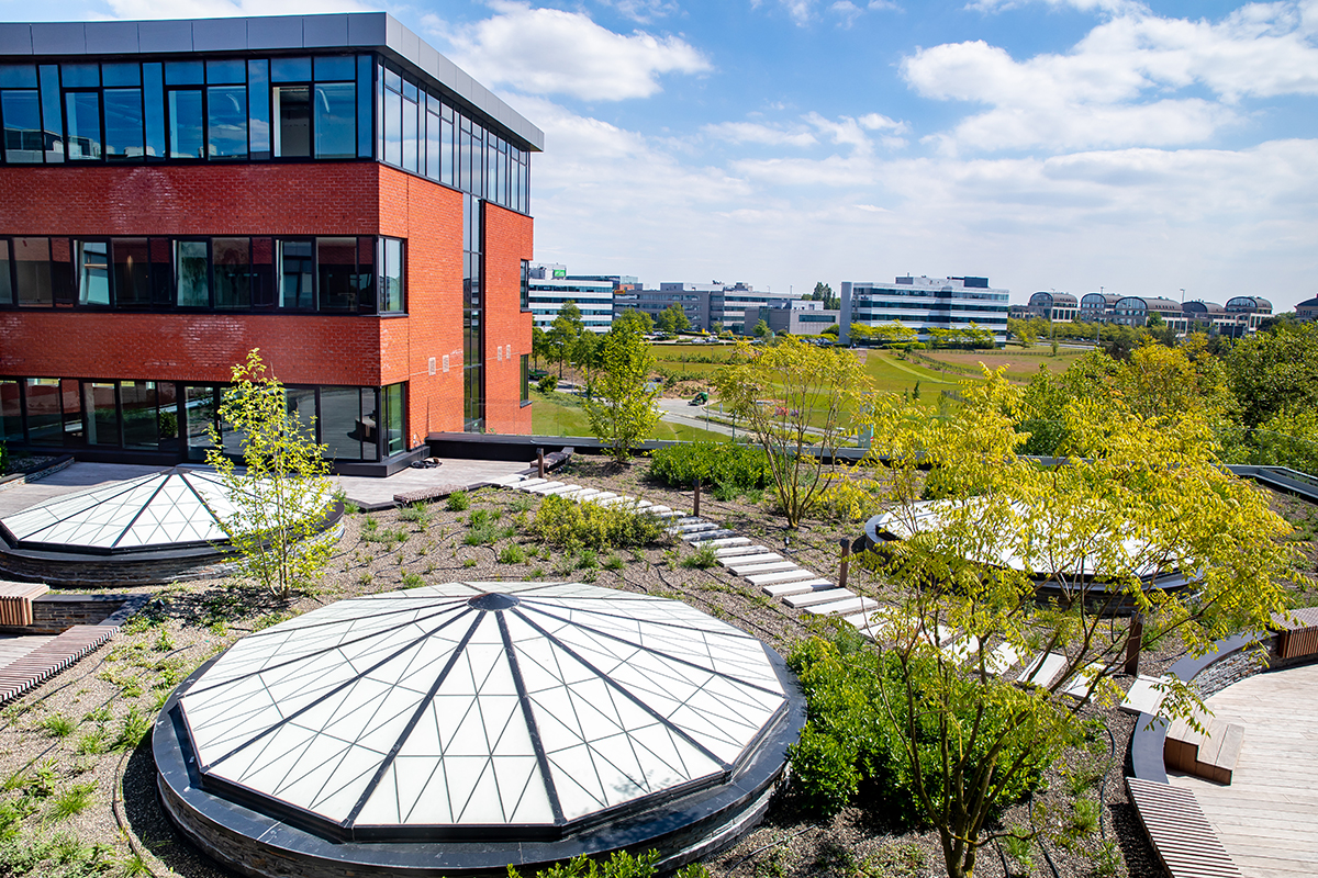 Greenhouse Office Building rooftop featuring Kalwall removable skylights in geometric pattern with plants and brick building.