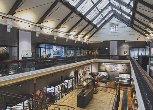 Interior shot of building atrium with white and brown paneled walls featuring a Kalwall skyroof®.