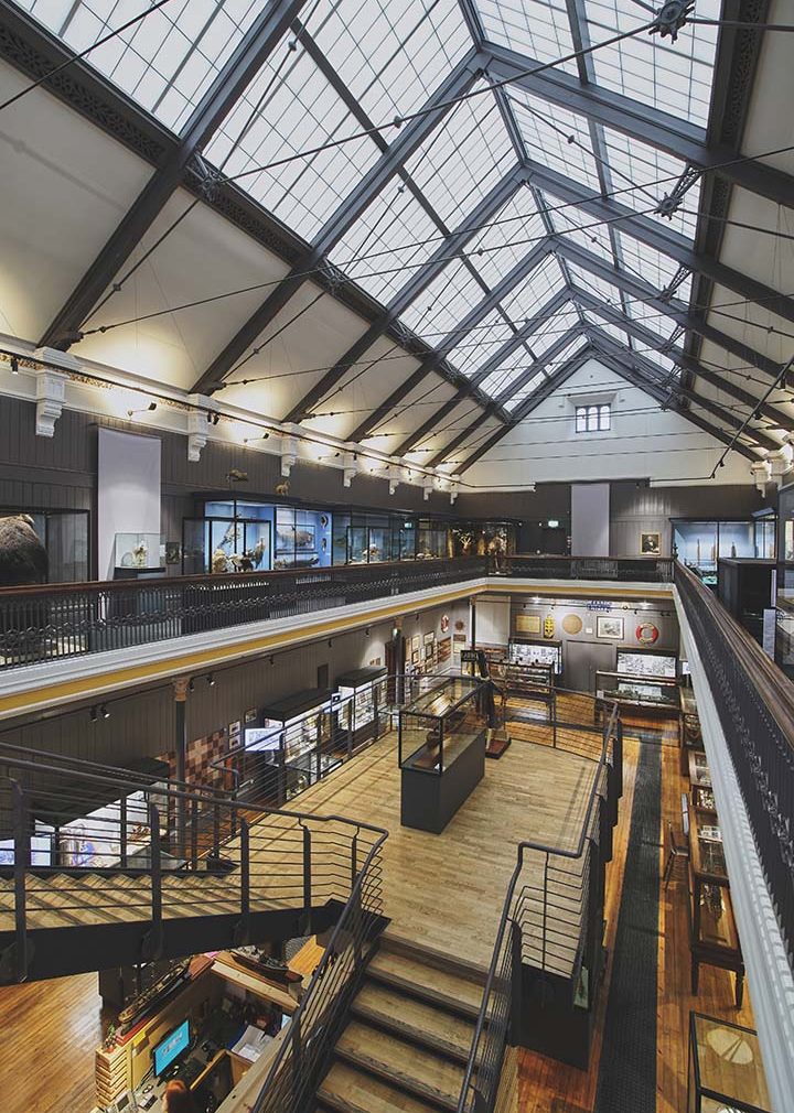 Interior shot of building atrium with white and brown paneled walls featuring a Kalwall skyroof®.