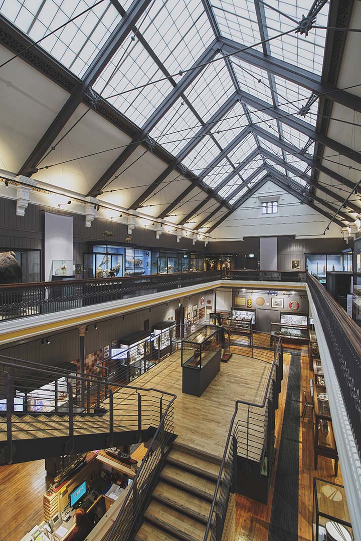 Interior shot of building atrium with white and brown paneled walls featuring a Kalwall skyroof®.