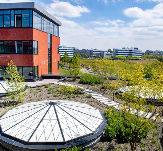 Greenhouse office building featuring Kalwall geo-roofs with translucent skylights, surrounded by landscaped greenery and pathways, under a clear blue sky.