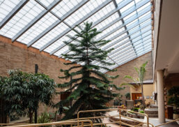 CHI Health Lasting Hope Recovery Center skyroof