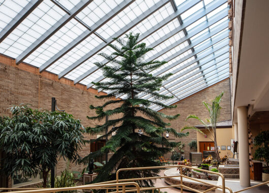 CHI Health Lasting Hope Recovery Center skyroof