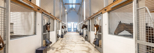 Fairhill Training Center