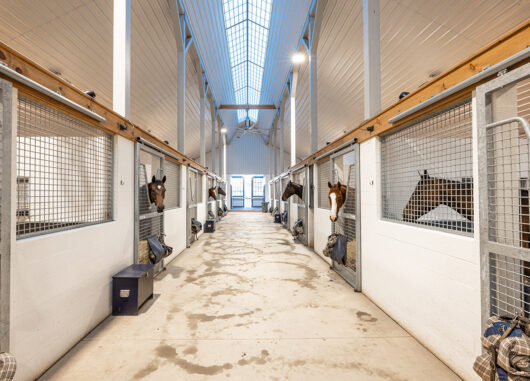 Fairhill Training Center