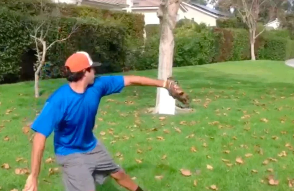 Image of a baseball being thrown at a Kalwall panel