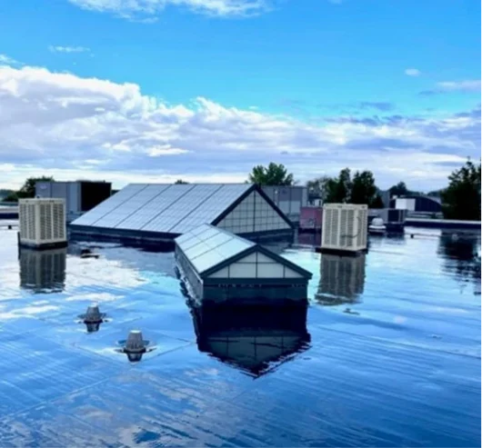 Image of a Kalwall Factory Mutual Certified Roof System | FM 4471